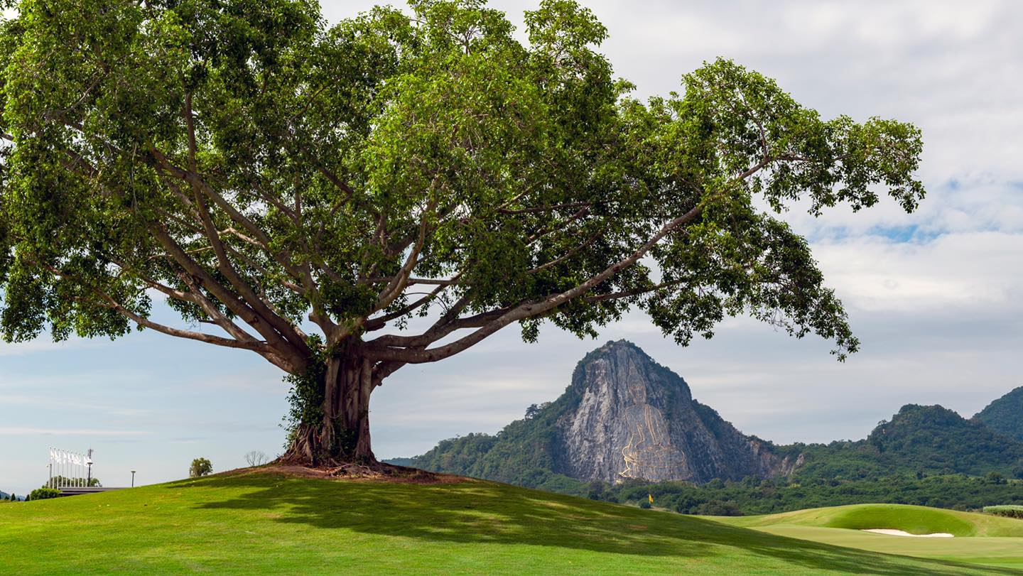 11 Reasons Why You Need to Book a Thailand Golf Holiday 