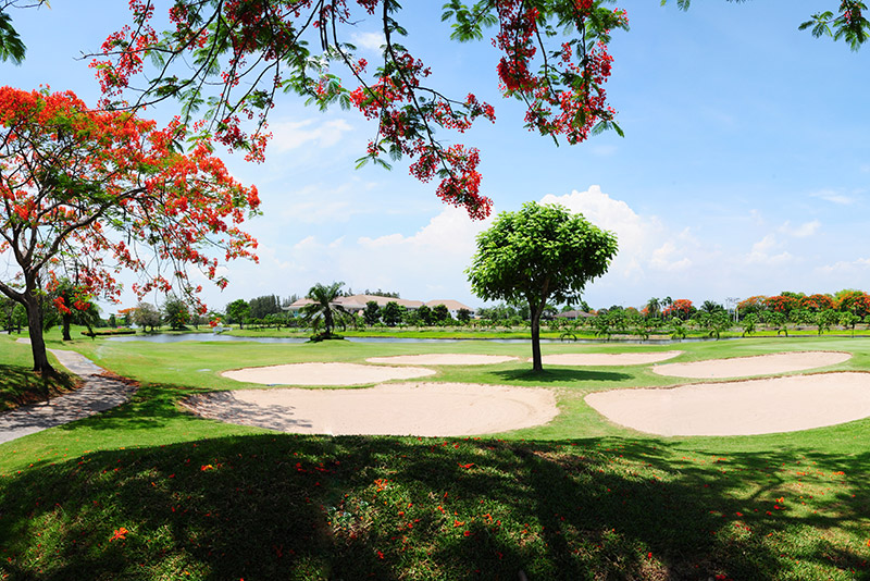 THE ROYAL GOLF & COUNTRY CLUB 